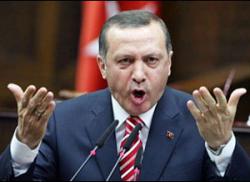 Эрдоган примет ответные меры против России