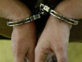 Полицейский в Аризоне вторгся в частный дом и пытался арестовать обнаженную женщину - ВИДЕО