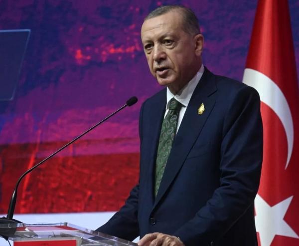 Эрдоган заявил о намерении Турции закрыть бреши на границе с Сирией