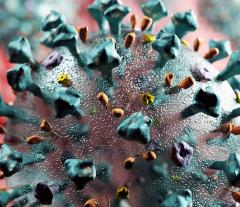 Главный эпидемиолог заявил об ухудшении ситуации с коронавирусом в Грузии