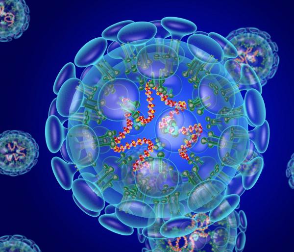 Индия побила новый коронавирусный антирекорд